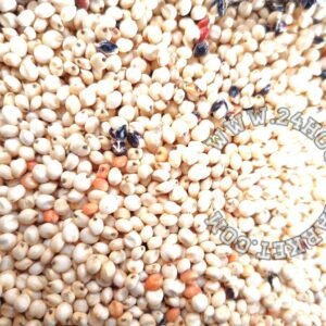 White guinea corn sorghum oka baba 4L paint bucket