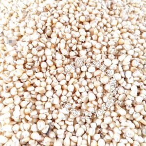 White Corn 4L Paint bucket