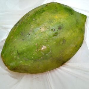 FRESH paw paw Size 1