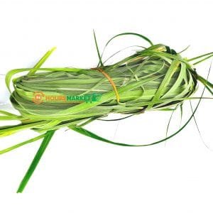 FRESH Lemon grass bunch