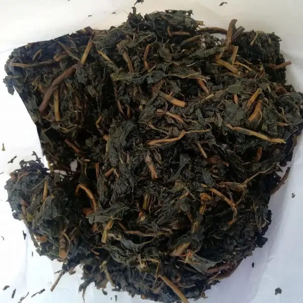 Fresh Squeezed Bitter Leaf – Short Cut