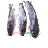 Fresh Eja obokun 1kg+