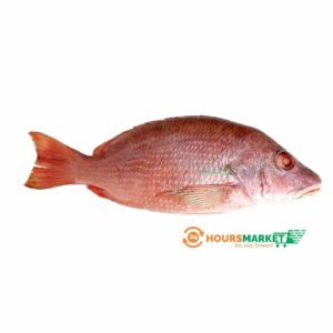 FRESH Red Snapper Fish -1piece