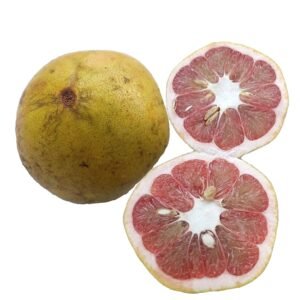 Grape Fruit Red x5