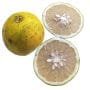 Grape Fruit Clear x5