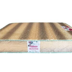 G8A0415-copy-1024x683 Bravo Matress Blossom 4¹/² x 10