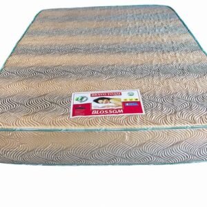 G8A0424-copy-1024x683 Bravo Matress Blossom 6 x 6 x 8