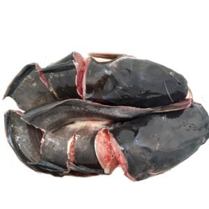Live  Catfish  freshly slaughtered 3kg+