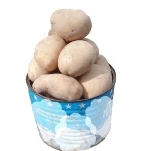 Irish Potatoe 2Ltr bucket