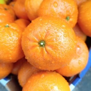 Tangerine Imported x5