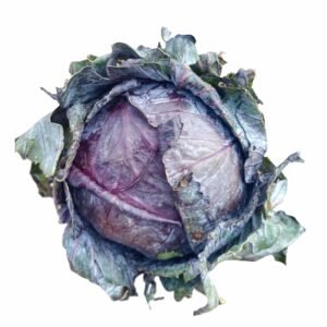 FRESH Purple Cabbage 400g+