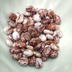 1686160725630 Castor Seeds 19g