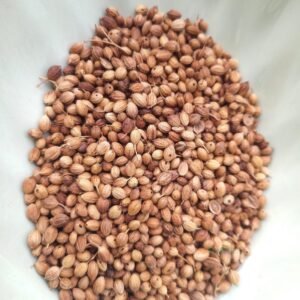 1686160795268 Coriander Seeds 18g