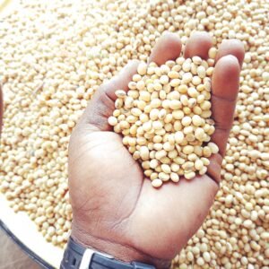 SOYA Beans 4Ltr paint bucket