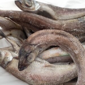 Argentina Fish - ojuyobo 20 kilos