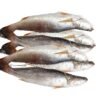 1701032080522 Fresh Croaker Fish 1kg