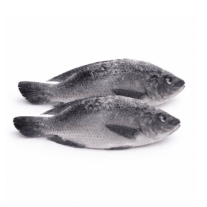Frozen Tilapia Fish 1kg