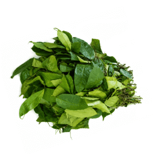 Fresh Okazi (Afang) Leaves Bunch