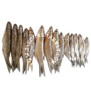 FRESH Sardines 1kg 25pcs+