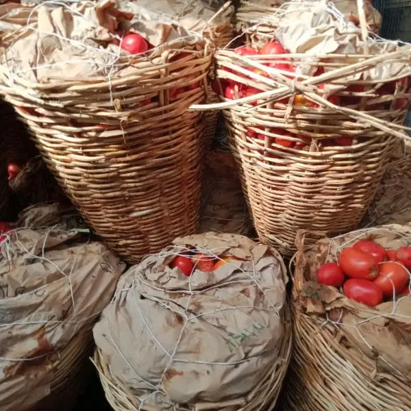 Fresh Tomatoes Basket (Medium)