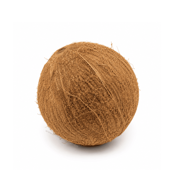 Fresh Coconut Fruit 1b