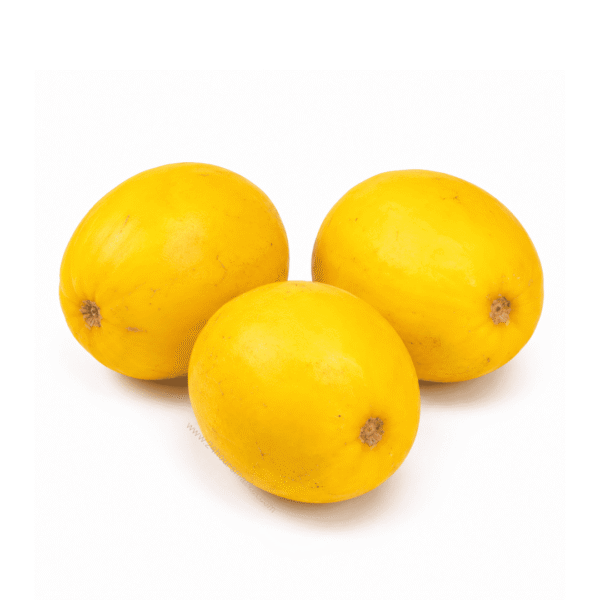 Fresh Golden Melon Fruit x3