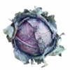 1683937805684-1024x1024 Fresh Purple Cabbage 400g+