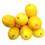 Golden Melon x5