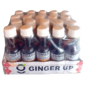 GINGER UP ginger and honey drink 200ml x20