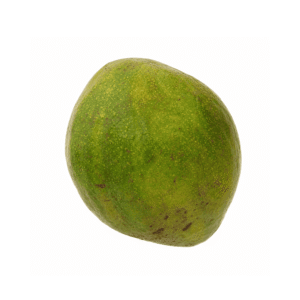 Avocado Pear