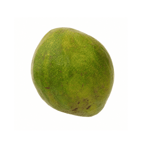 Avocado Pear