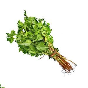 Fresh Ewedu leaves