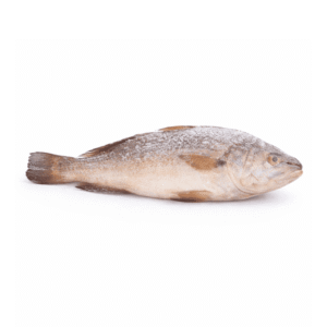 Frozen Croaker Fish 1kg