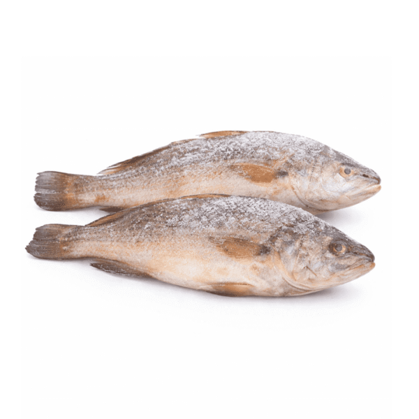 Frozen Croaker Fish 20kg