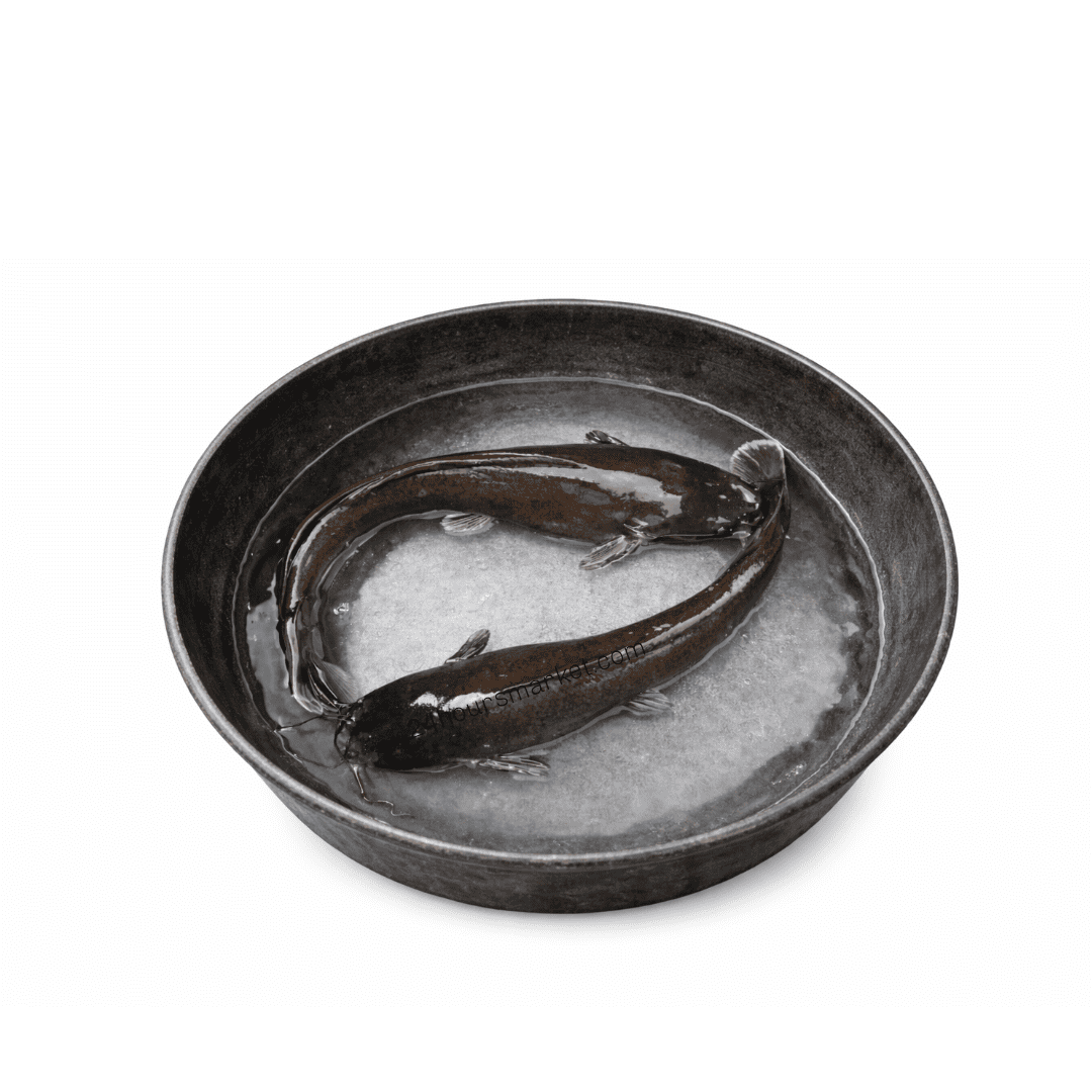 Cleaned Catfish 700g+