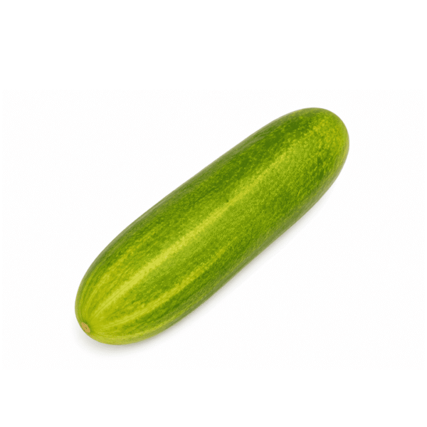 Fresh Cucumbers x12