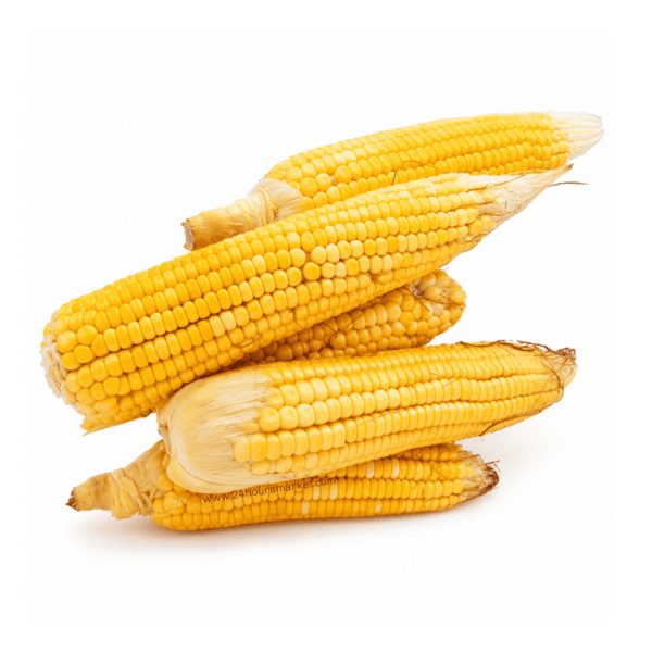 Fresh Corn  x12