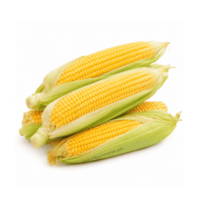 Fresh Corn x5