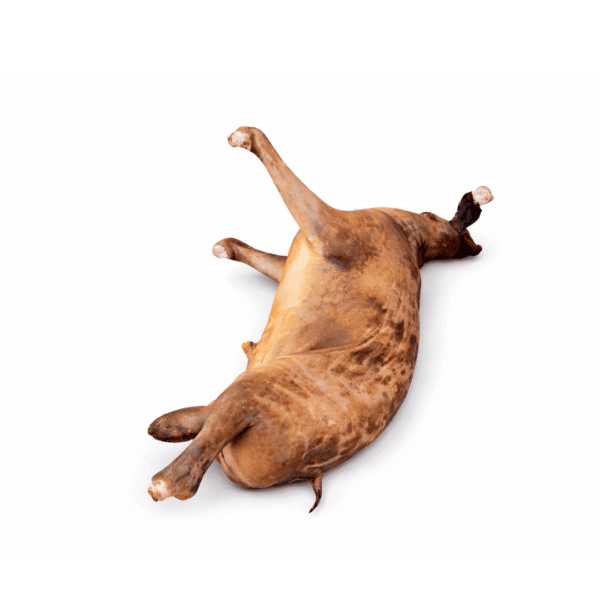 1000103662 Fresh Whole Goat 1