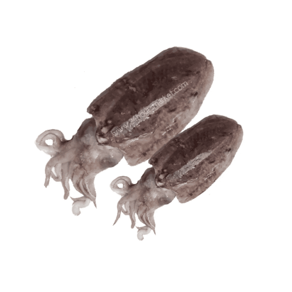 1000104595 Fresh Cuttlefish – 1kg
