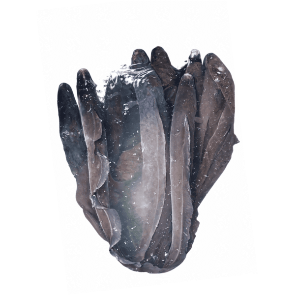 Fresh Aba Knife - Eja osan 3kg+