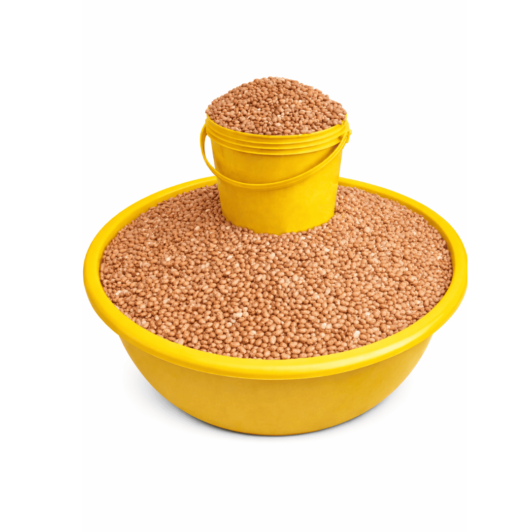 Honey oloyin beans bucket