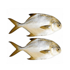 1000199427 Fresh Golden Pompano x2