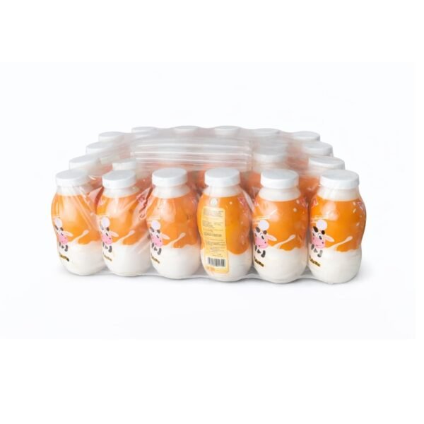 Viju Orange Milk 210ml