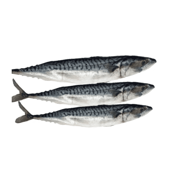 Frozen Titus Fish Carton 20kg