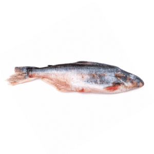 Frozen Silver Catfish (Obokun) 1kg