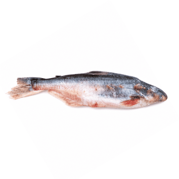 Frozen Silver Catfish (Obokun) 1kg