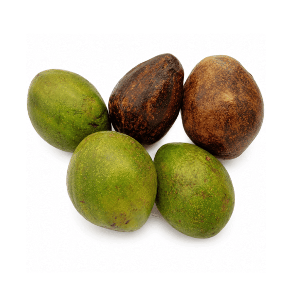 Fresh Avocado Pear x3
