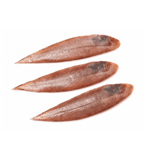 Fresh Sole Fish 1kg