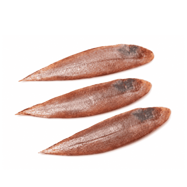 Fresh Sole Fish 1kg